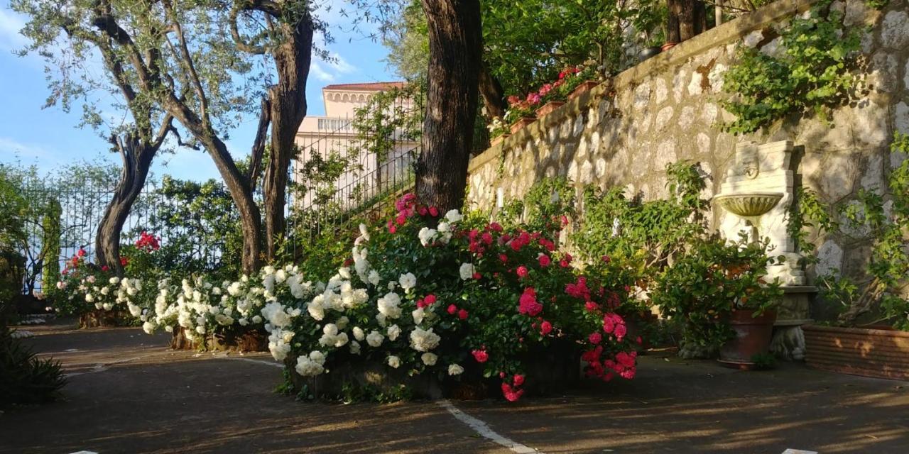 Villa L'Ulivina Sorrento Eksteriør billede