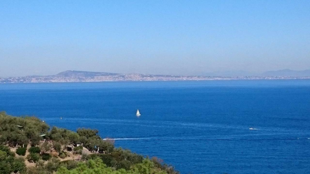 Villa L'Ulivina Sorrento Eksteriør billede