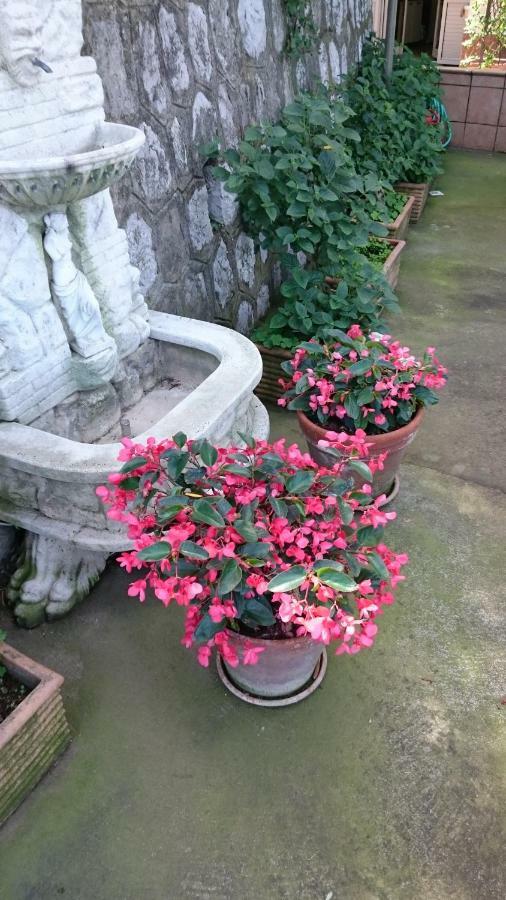 Villa L'Ulivina Sorrento Eksteriør billede