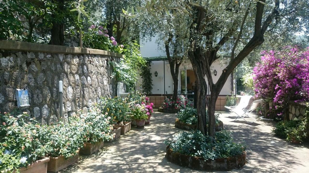 Villa L'Ulivina Sorrento Eksteriør billede