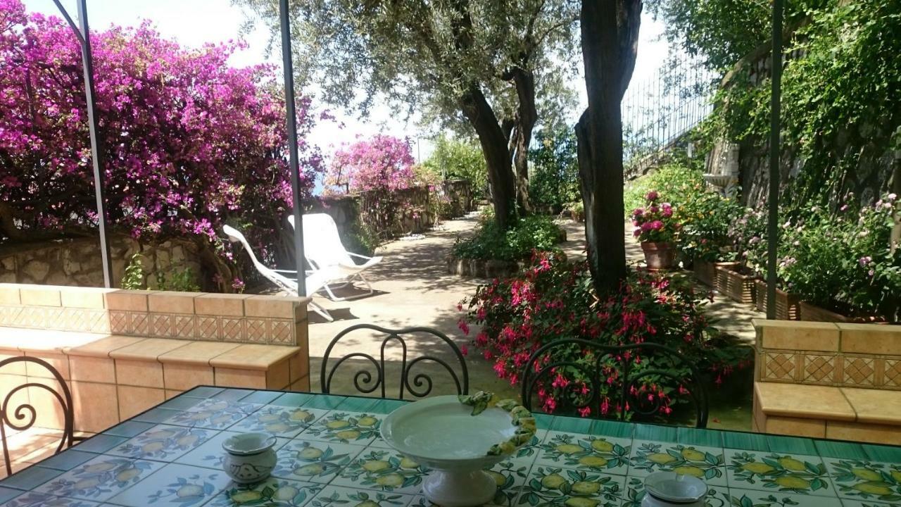 Villa L'Ulivina Sorrento Eksteriør billede